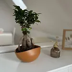 Am Huecker Moor Apartment *