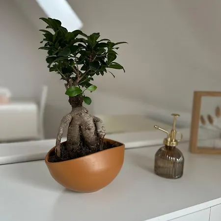 Am Huecker Moor Apartment *