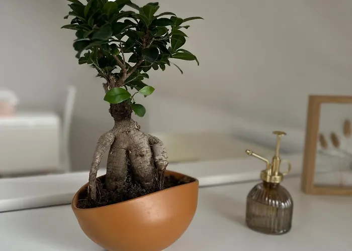 Am Huecker Moor شقة *